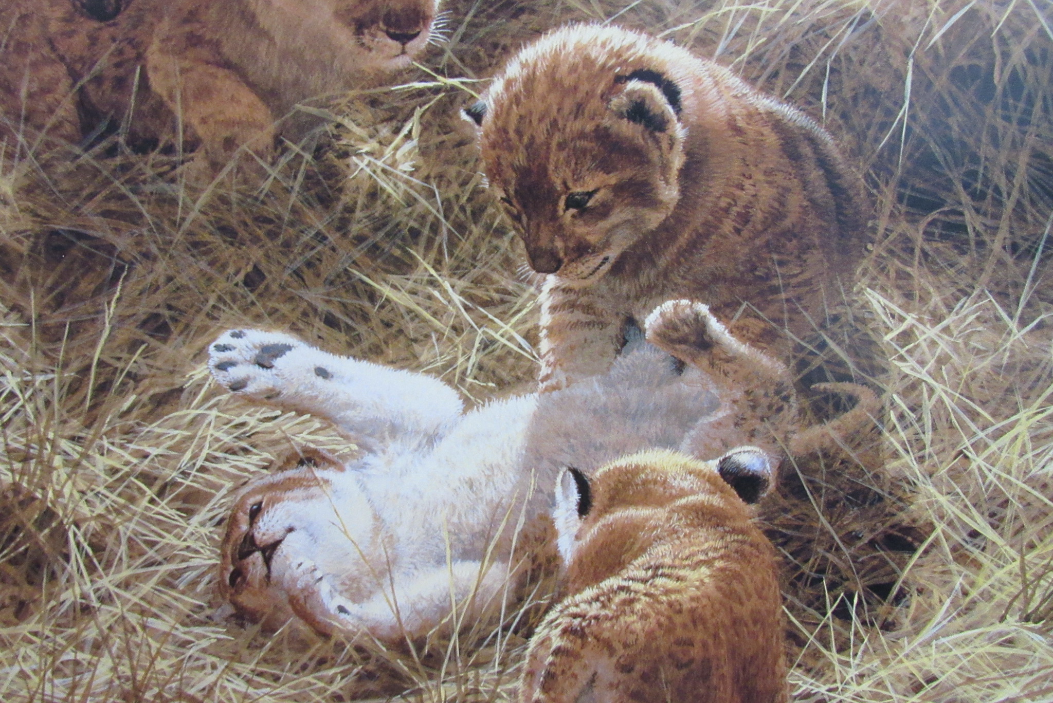 Bilashaka Playtime by John Seerey‑Lester - Image 5